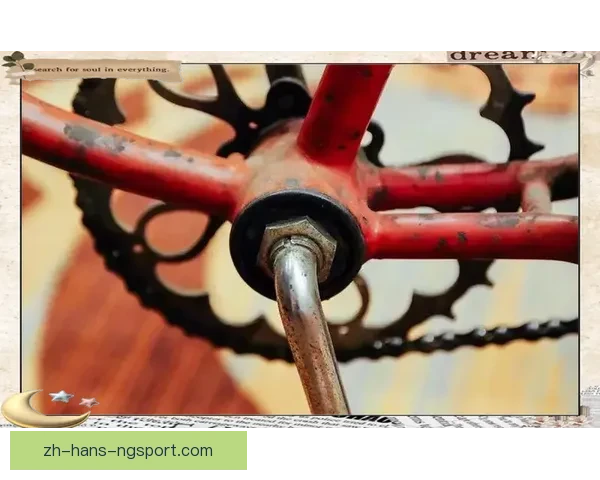 山地车历史演变：从起源到现代发展