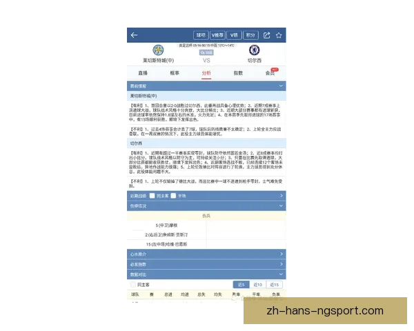 拳击赛事预测：挑战者能否逆袭夺冠？