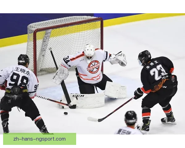 掌握冰球基础技能，快速入门指南