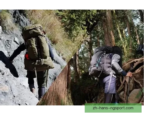 登山高手必备技巧大揭秘