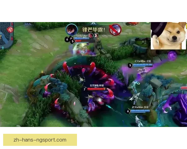 网球巅峰对决：挑战者与王者的较量