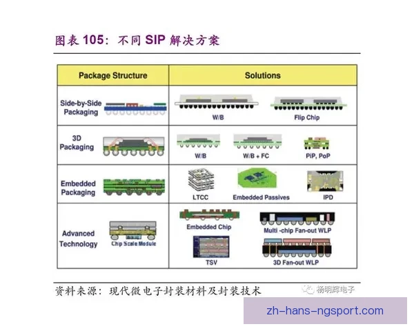 赛艇数据挖掘：深度分析与技术应用